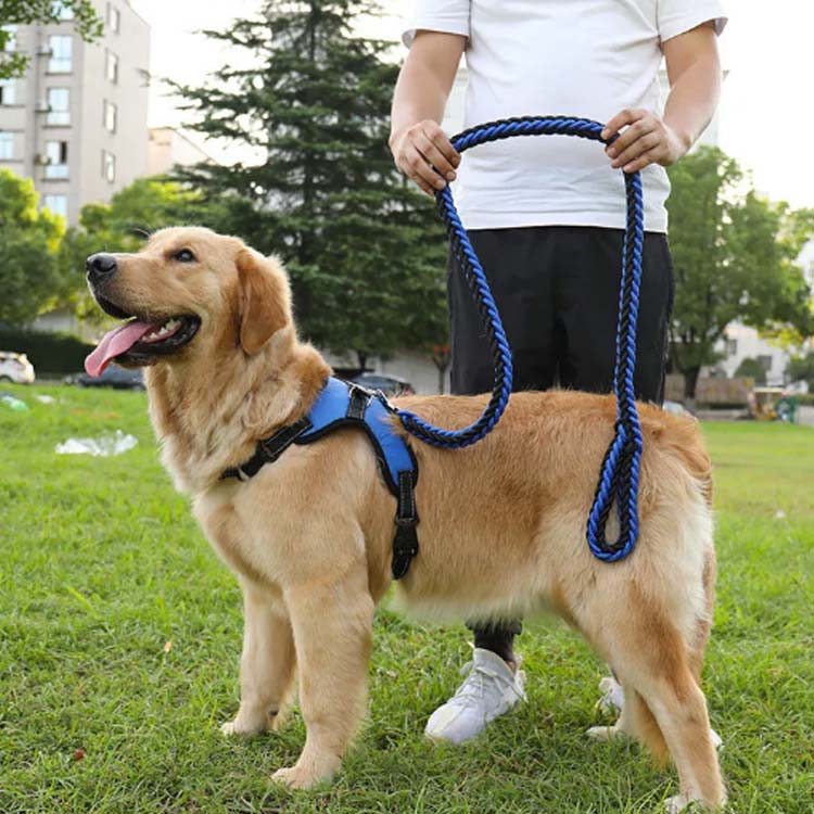 全10色×3点セット!犬 ハーネス ペットハーネス 中型犬 大型犬 ハーネスリードセット ウェアハーネス 犬用 脱出防止 首輪 ナイロン 調整可能 光反射 夜安全 通気