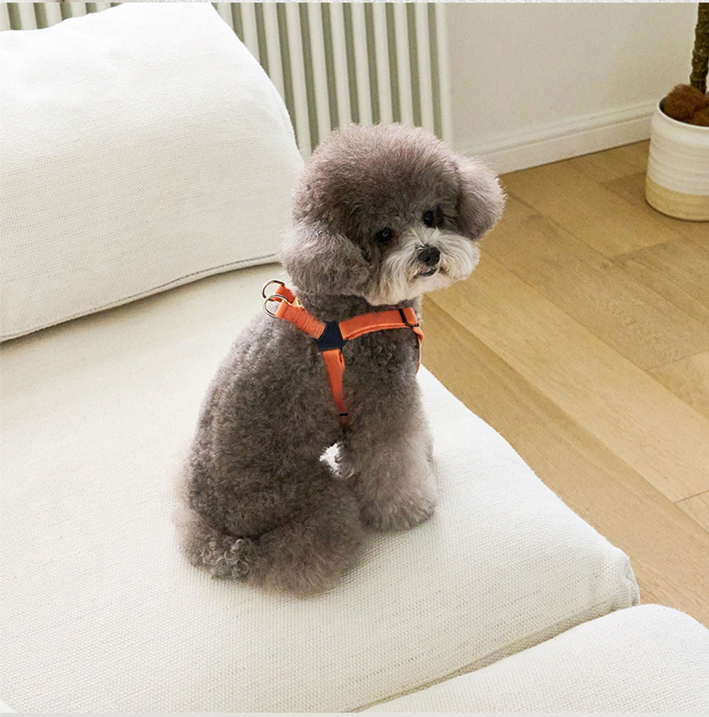 ベストかわいいペットを連れて外出します メガ割ワンピースパンツトートバッグ