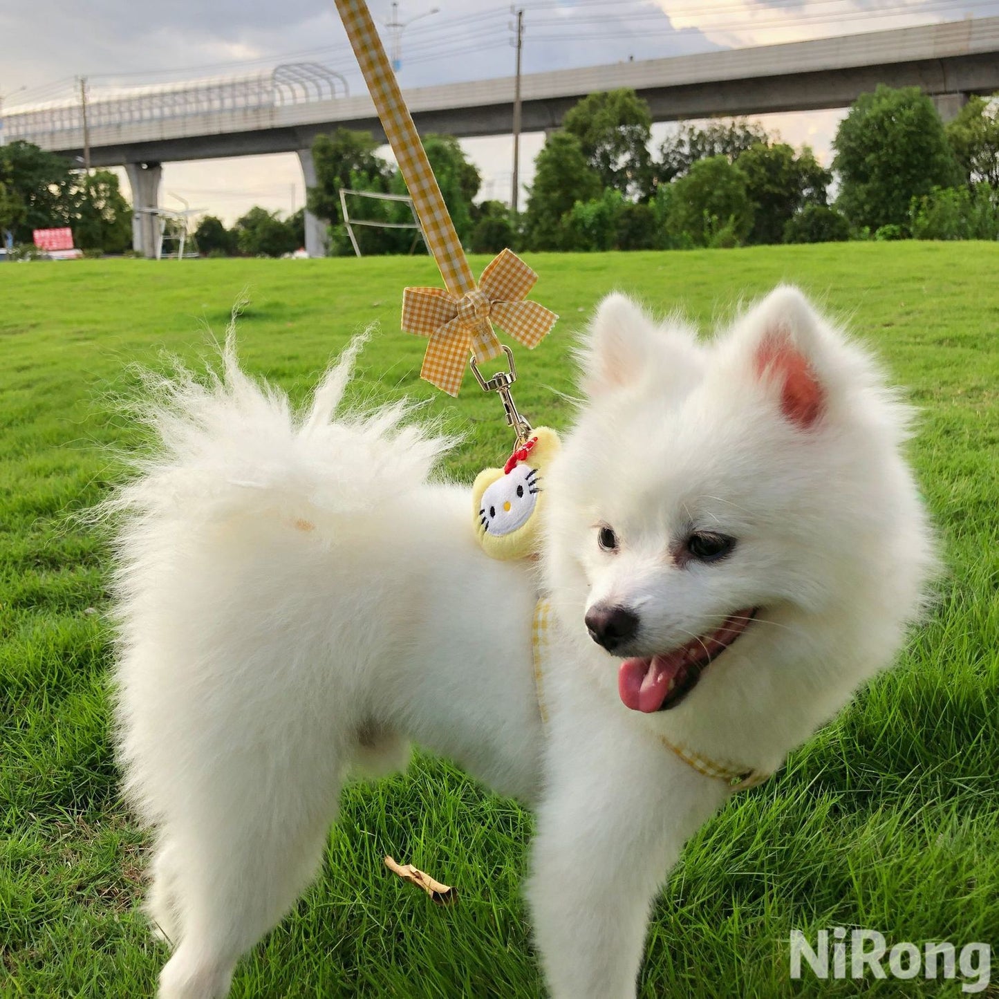 メガ割犬牽引ロープベスト式アニメ屋外散歩犬牽引ロープ小型中型犬犬チェーン犬ロープテディ博美973