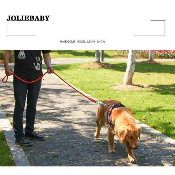犬用ハーネスリード 牽引ロープ リードセット 犬 猫 ペット牽引縄 ドッグリード 小型犬 中型犬 大型犬 引っ張り防止 ペット用品 ハーネス 胸あて式 お散歩グッズ