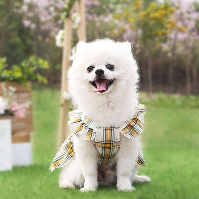 犬 ウェア りぼん ワンピース 中型犬 ドッグ リボン ドレス 秋 犬服 フリル ペット ドッグウェア 小型犬 夏 冬 猫 スカート 春 服