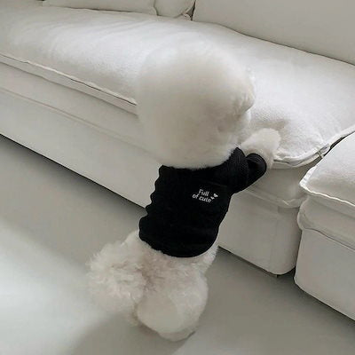 新作入荷 犬 服 犬服 春 秋 ペット服 秋ペットボトムシャツ小型犬犬服秋