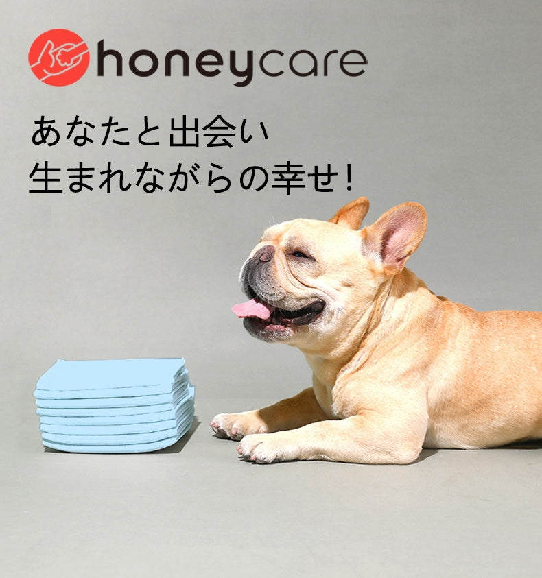 <a href="https://www.qoo10.jp/gmkt.inc/Search/brand.aspx?brandno=109151" target="_blank" class="title_brand" id="btn_brand" title="Honeycare">Honeycare</a>ペットシーツ 超薄型 ペットシート犬猫 サイズ選択可 レギュラー800枚 ワイド400枚 スーパーワイド200枚
