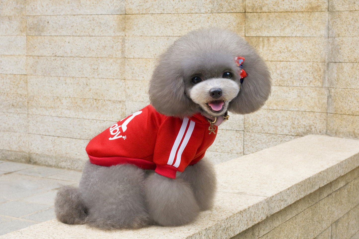 猫 犬 洋服 犬服 ペット服 大中小型犬 ペット用品 犬/猫用 犬の服 ペットウエア 小型犬 中型犬 通気 可愛い ドッグウェア トレーナー 犬 服 ワンピース サロペット ビションフリーゼ 犬猫服