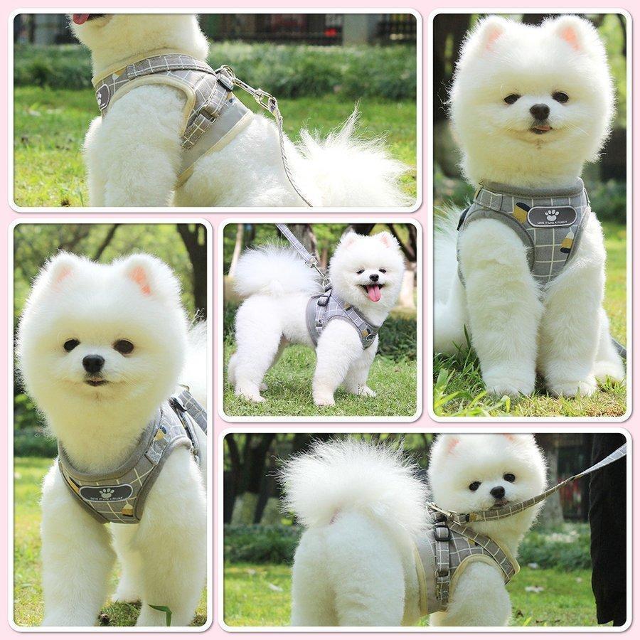 首輪 リード 犬用 服 おしゃれ 犬 小型犬 かわいい ハーネス 脱げない