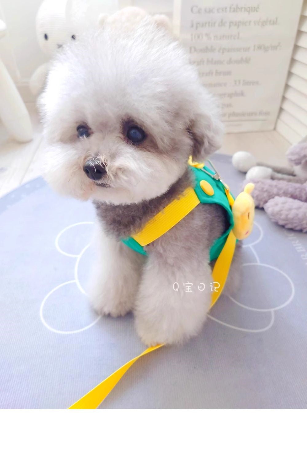 ペットの猫の小型犬のテディの犬の胸のストラップの牽引ロープのベスト式のドッグランの犬のひものかっこいいかわいい衝突色 メガ割ワンピースパンツトートバッグ