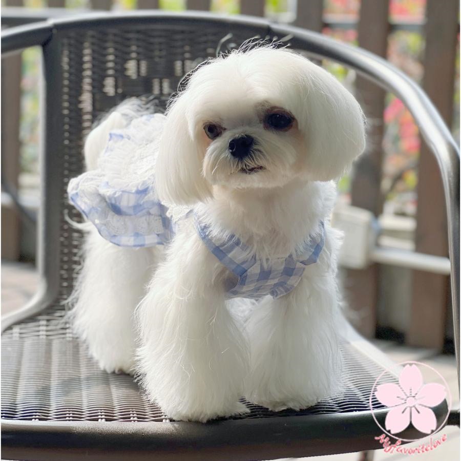 万能流行感 ぺット 服 安い 犬 春 夏 チェック フリル キャミソール かわいい 可愛い ハイブランド 猫 ドッグ ウェア