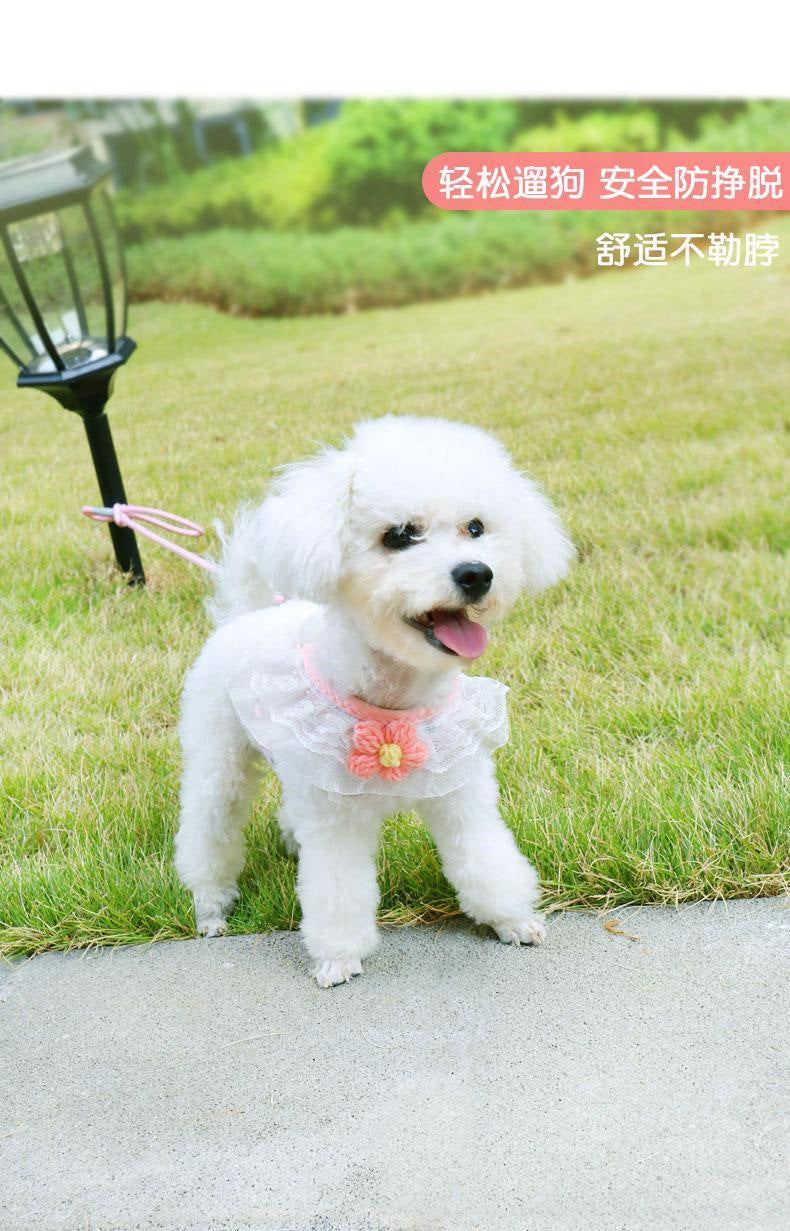 犬の牽引紐は犬のチェーンの小型犬のペットの胸の帯のテディの熊の子犬を散歩します