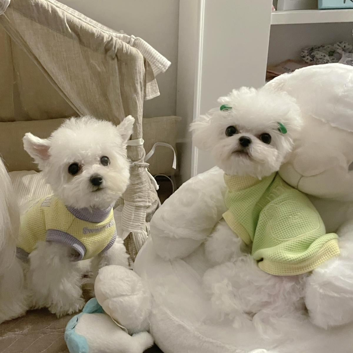 春夏新作 犬服 ペット服 犬 洋服 ペット 犬用品 小中型犬 春秋ペット犬服春秋小型犬子犬抜け毛防止肥厚