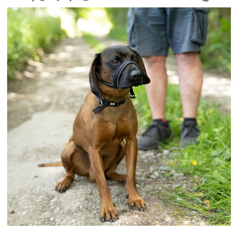 送 料 無 料!愛犬用リード大型犬用リード犬口輪一体型ドッグチェーン
