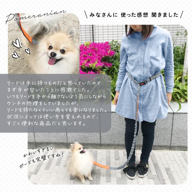 ペット用品 ポール留め 肩掛け 便利 犬 ショルダー ハンズフリー 腰に巻ける マルチ パラシュートコード リード 犬と一緒にランニング 長め ジョギング