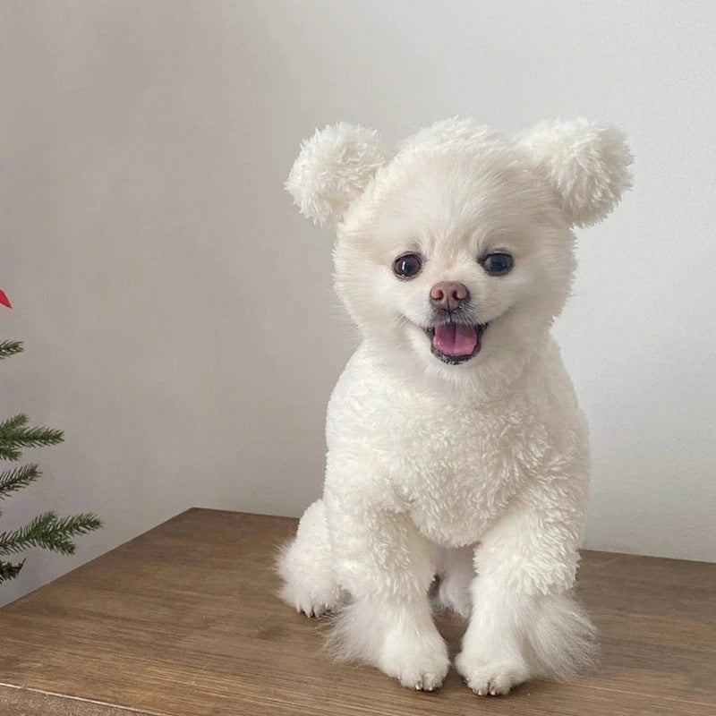 ペット服 犬の服 犬猫服 テディビーベア ヨークシャー 小中型犬 服 快適 ペット用品 犬用品 秋冬服
