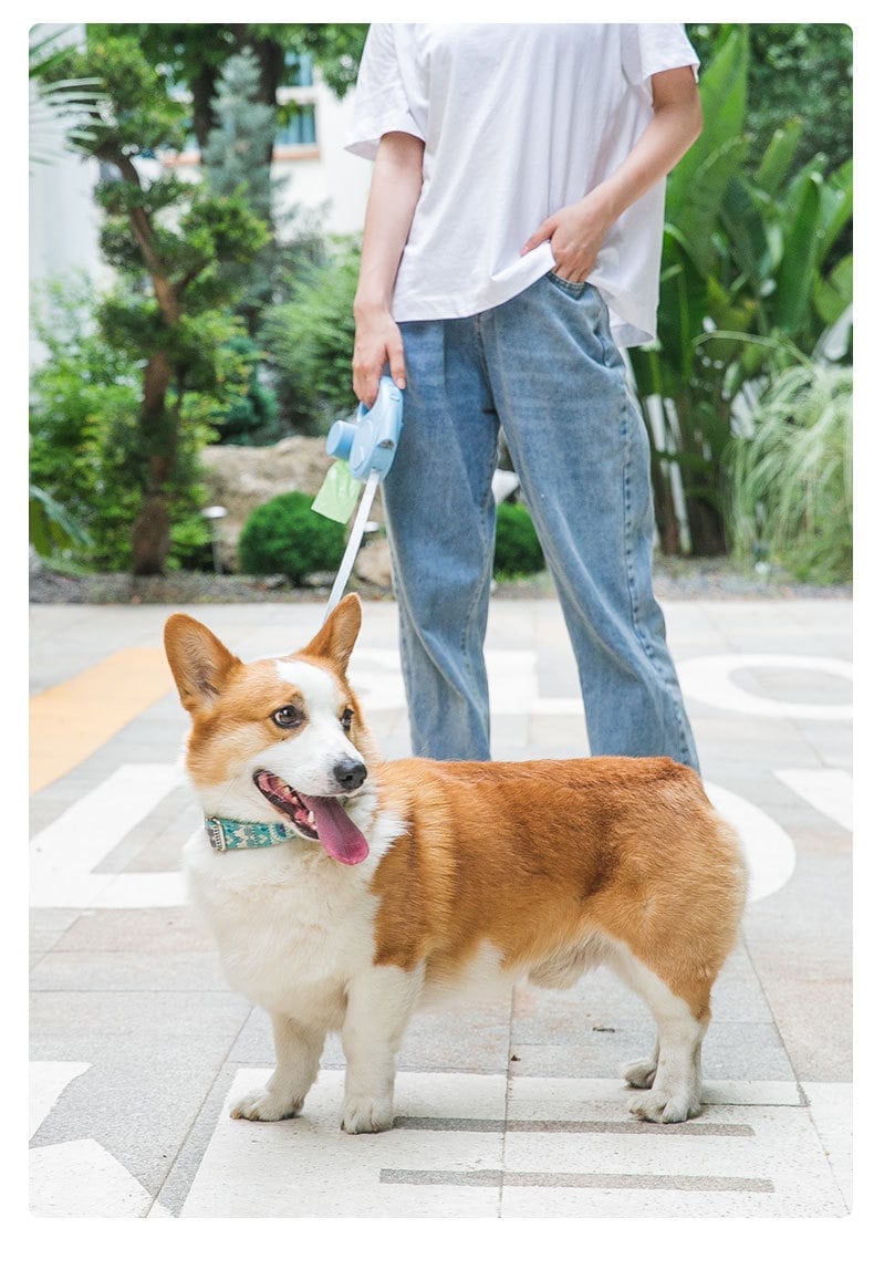 沸騰新柄追加 犬 伸縮リード ハーネス 巻き取り式伸縮リード 自動巻き 反射光 調節可能 ゴミ袋ケース付き 長さ5quma