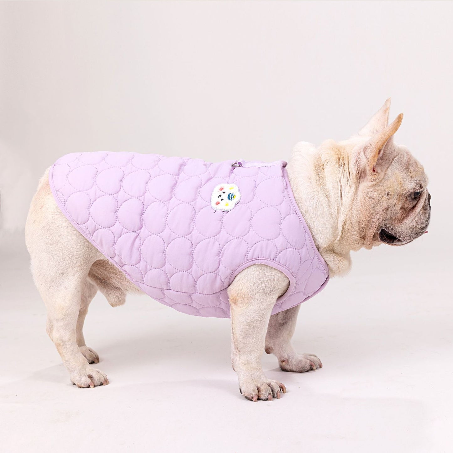 人気ペット服 犬の服 ペットの服 秋冬 ブルドッグモデル ブルドッグ 4色 コットンベスト