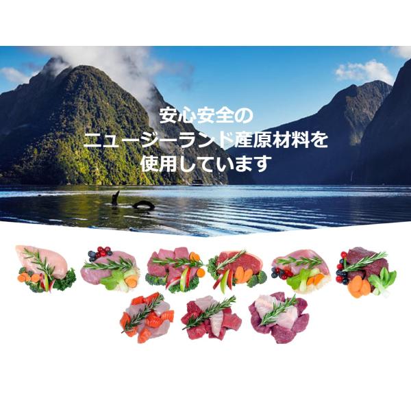 WOOF ワフ フリーズドライ グリーンリップドマッスル 50g ドッグフード 犬 餌 トリーツ おやつ 動物性原料 90%以上