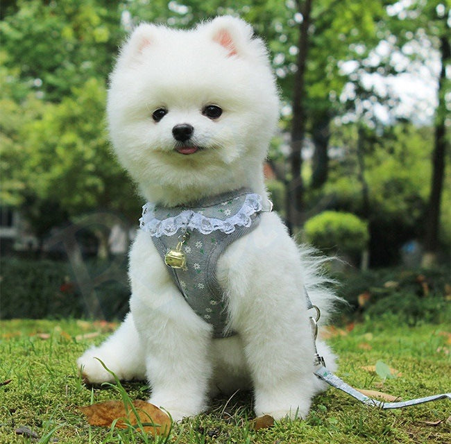 ペット用品犬の服犬用ハーネスリード3色カモフラージュストロベリーレースかわいいファッショナブルな安全482