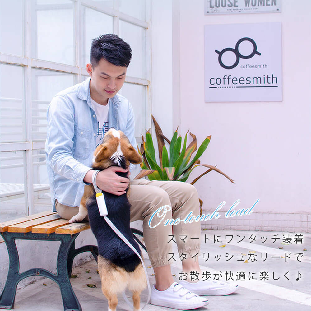 15日間のみ 犬 リード ワンタッチ固定 おしゃれ 犬 リード 可愛い リード 犬 リード長さ160cm 犬用リード 小型犬 中型犬 反射板 軽量 リード かわいい 犬のリード ペット用品 犬用品 ホ