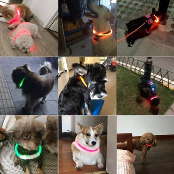 首輪 犬 おしゃれ 小型犬 中型犬 大型犬 光る首輪 犬用 LED ライト USB充電式