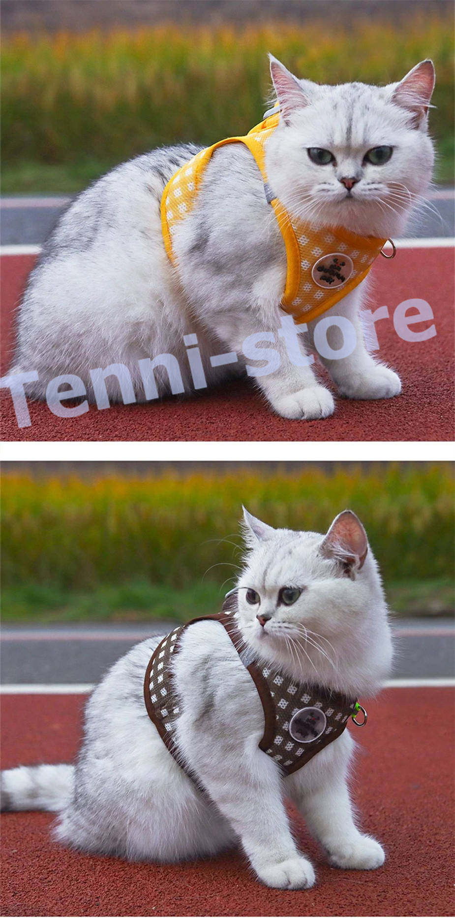 今週の新製品 タイムセール アウトレット 犬 猫 ハーネス 小型犬 中型犬 猫用 ネコ ウェアハーネス ハーネス&リードセット 犬ハーネス 抜けない 一体型 かわいい 簡単着脱 在庫が限られている在庫