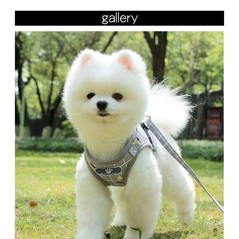 首輪 リード 犬用 服 おしゃれ 犬 小型犬 かわいい ハーネス 脱げない