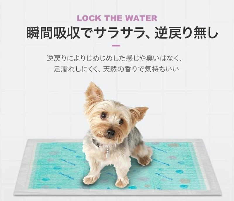 <a href="https://www.qoo10.jp/gmkt.inc/Search/brand.aspx?brandno=109151" target="_blank" class="title_brand" id="btn_brand" title="Honeycare">Honeycare</a>ペットシーツ 中厚型 ペットシート厚型 サイズ選択可 レギュラー ワイド スーパーワイド 香り付き 香りの選択