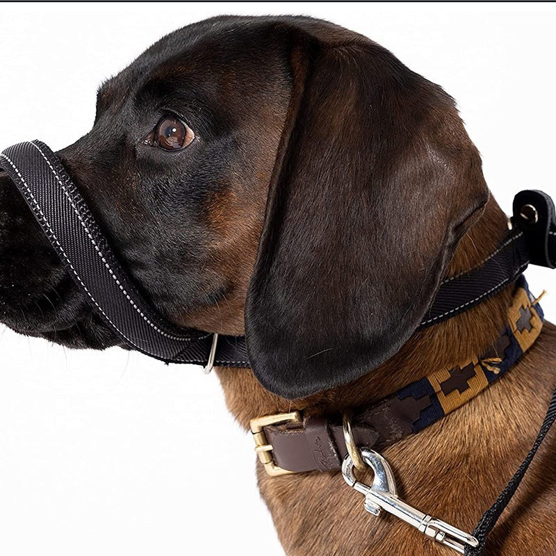送 料 無 料!愛犬用リード大型犬用リード犬口輪一体型ドッグチェーン