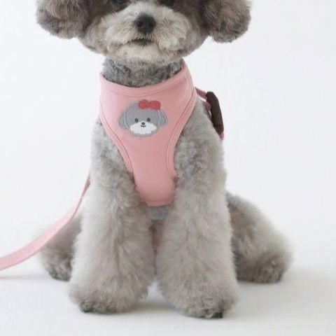 韓国版の中で小型の犬のテディは熊のコーキに比べて外出して犬を散歩します メガ割ワンピースパンツトートバッグ
