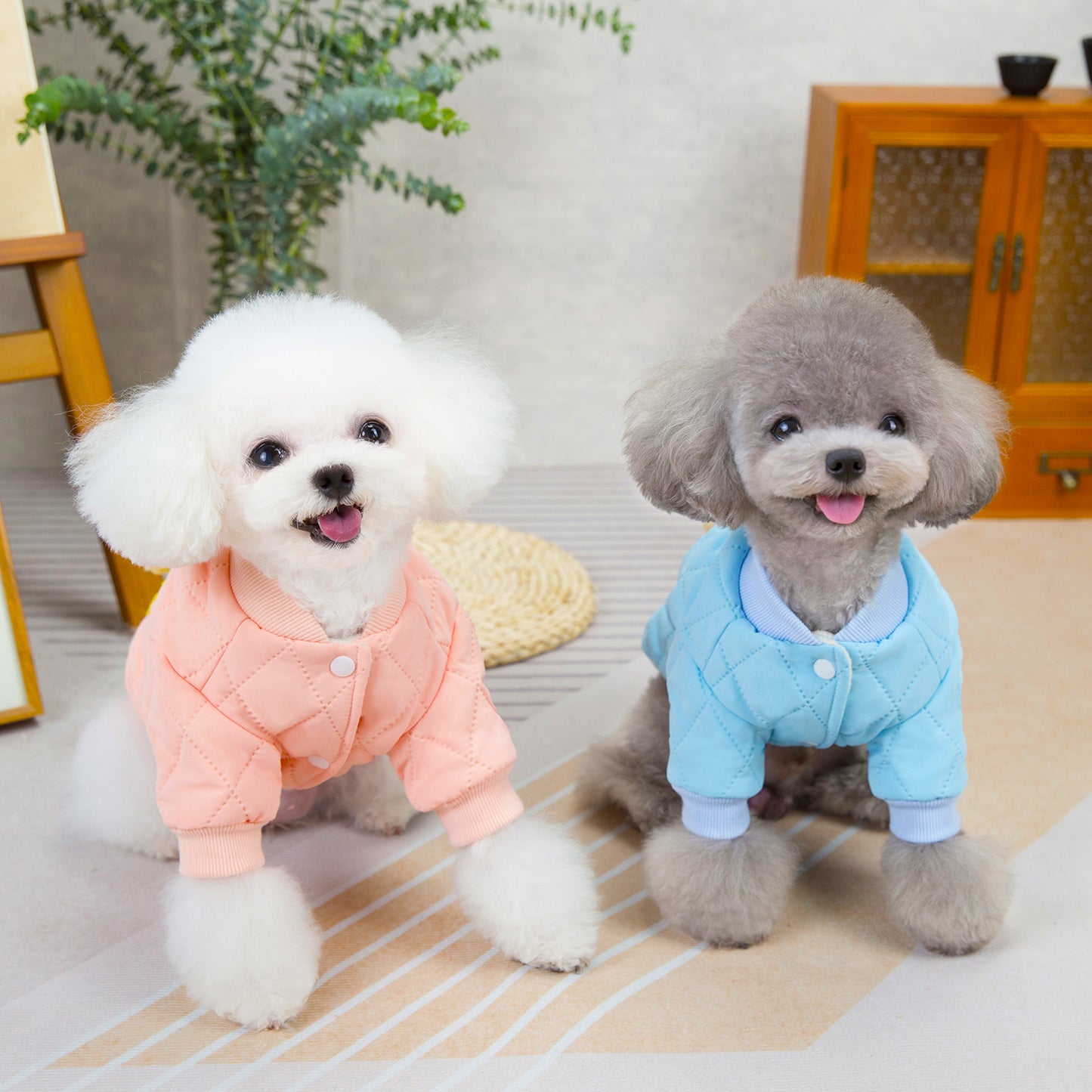 猫 犬 洋服 犬服 ペット服 大中小型犬 ペット用品 犬/猫用 犬の服 ペットウエア 小型犬 中型犬 通気 可愛い ドッグウェア トレーナー 犬 服 ワンピース サロペット ビションフリーゼ 犬猫服