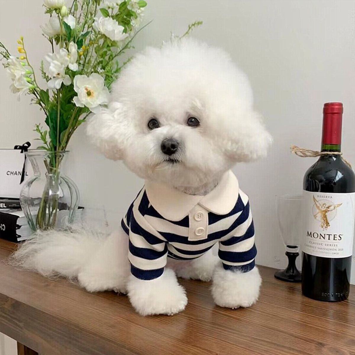 ペット服 ボーダーポロシャツ 小型犬の服 テディ ビションフリーゼ ポメラニアン 猫 小型犬&中型犬 犬 服 犬の服 犬 洋服 犬の服夏 犬洋服