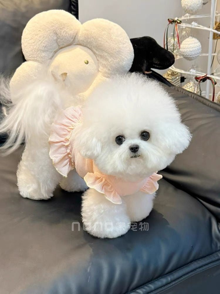 ペット猫 テディ かわいい 通気性の良い服 ビションフリーゼ 犬服 春夏新作 ワッフル 犬 服 犬の服 犬 洋服 犬の服夏 犬洋服