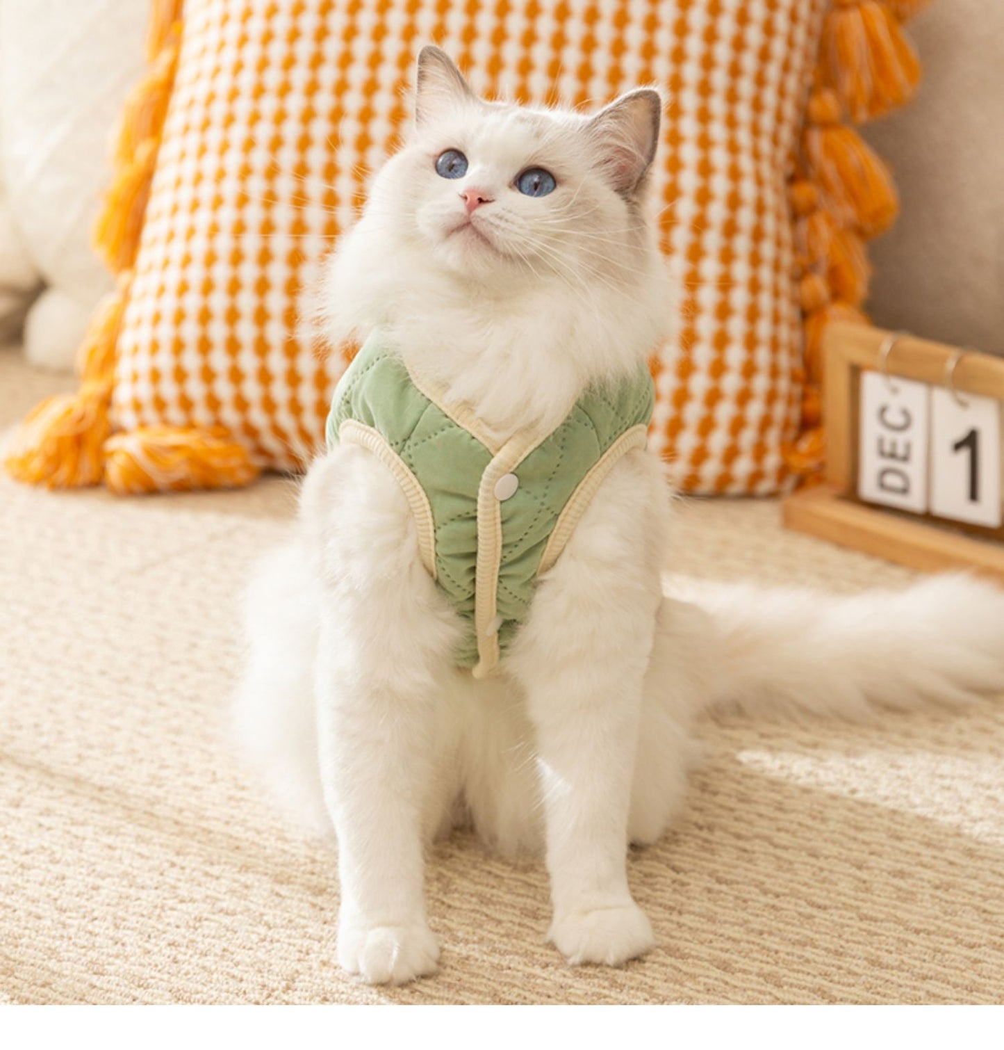 犬服 防寒着 ペット 厚手 無地 コットン 牽引可能 子犬用 猫 洋服 秋冬物