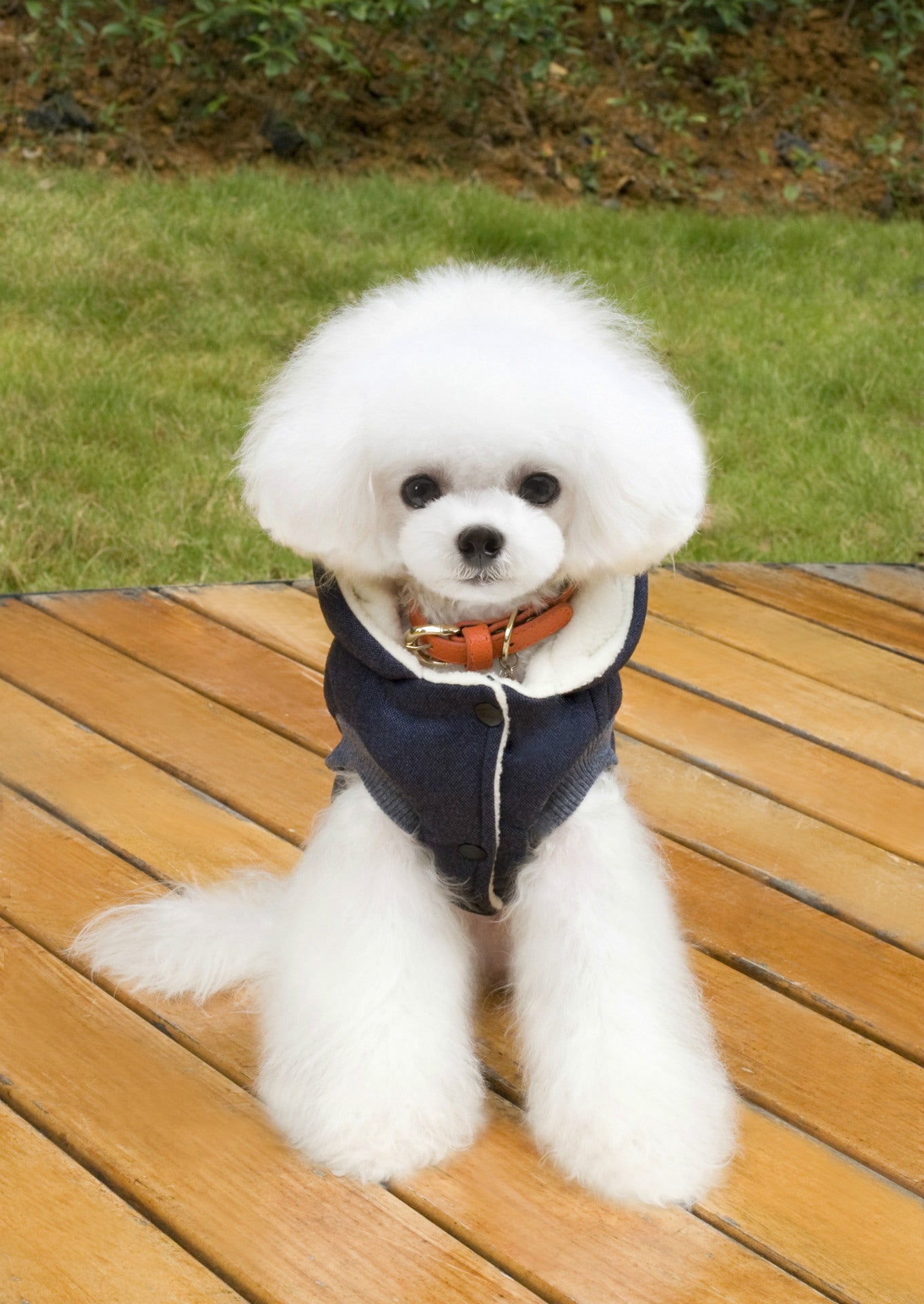 猫 犬 洋服 犬服 ペット服 大中小型犬 ペット用品 犬/猫用 犬の服 ペットウエア 小型犬 中型犬 通気 可愛い ドッグウェア トレーナー 犬 服 ワンピース サロペット ビションフリーゼ 犬猫服