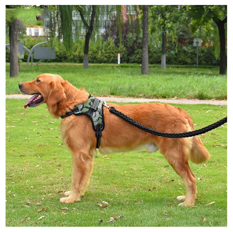 キャンペーンハーネス 犬 大型犬 柴犬 3点セット 抜けない 小型犬 調整可能 ハンドル付き 抜けにくい ハーネスリードセット 3点セット ステップハーネス 脱出防止 ウェアハーネス 犬用 ペットハー