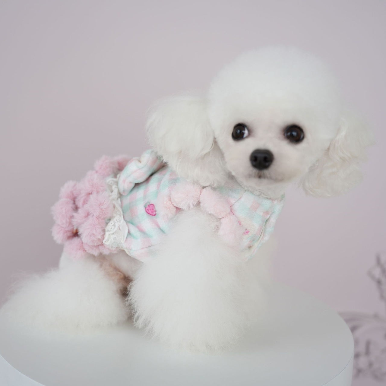 犬服秋冬新作 犬服 チェック柄 くま いちご スカート 猫 かわいい あったか スカート