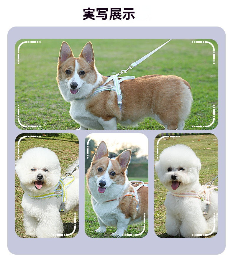 犬の鎖 犬の散歩用リード 小型犬中型犬用サドル 犬用チェストハーネス ペット犬用リード