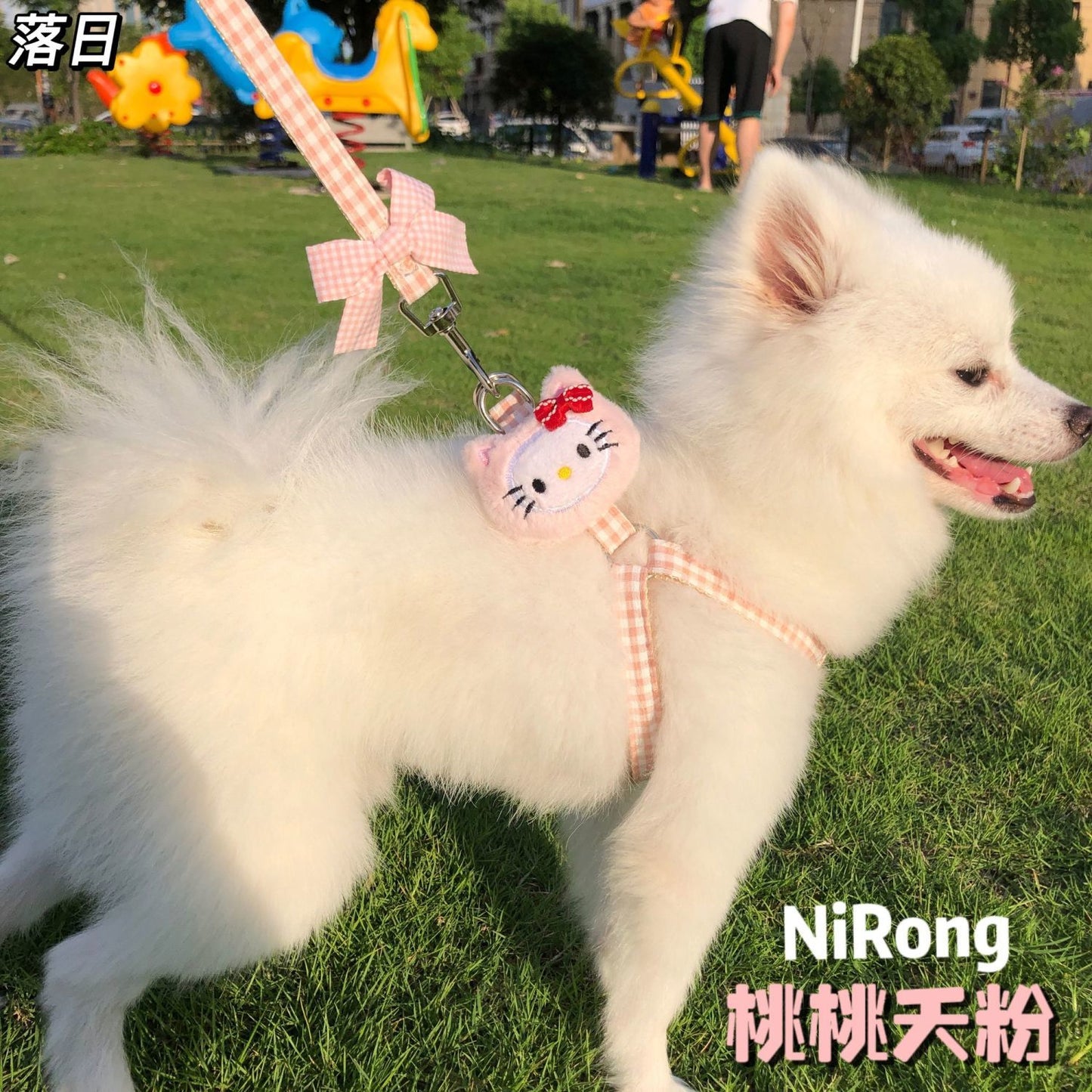 メガ割犬牽引ロープベスト式アニメ屋外散歩犬牽引ロープ小型中型犬犬チェーン犬ロープテディ博美973