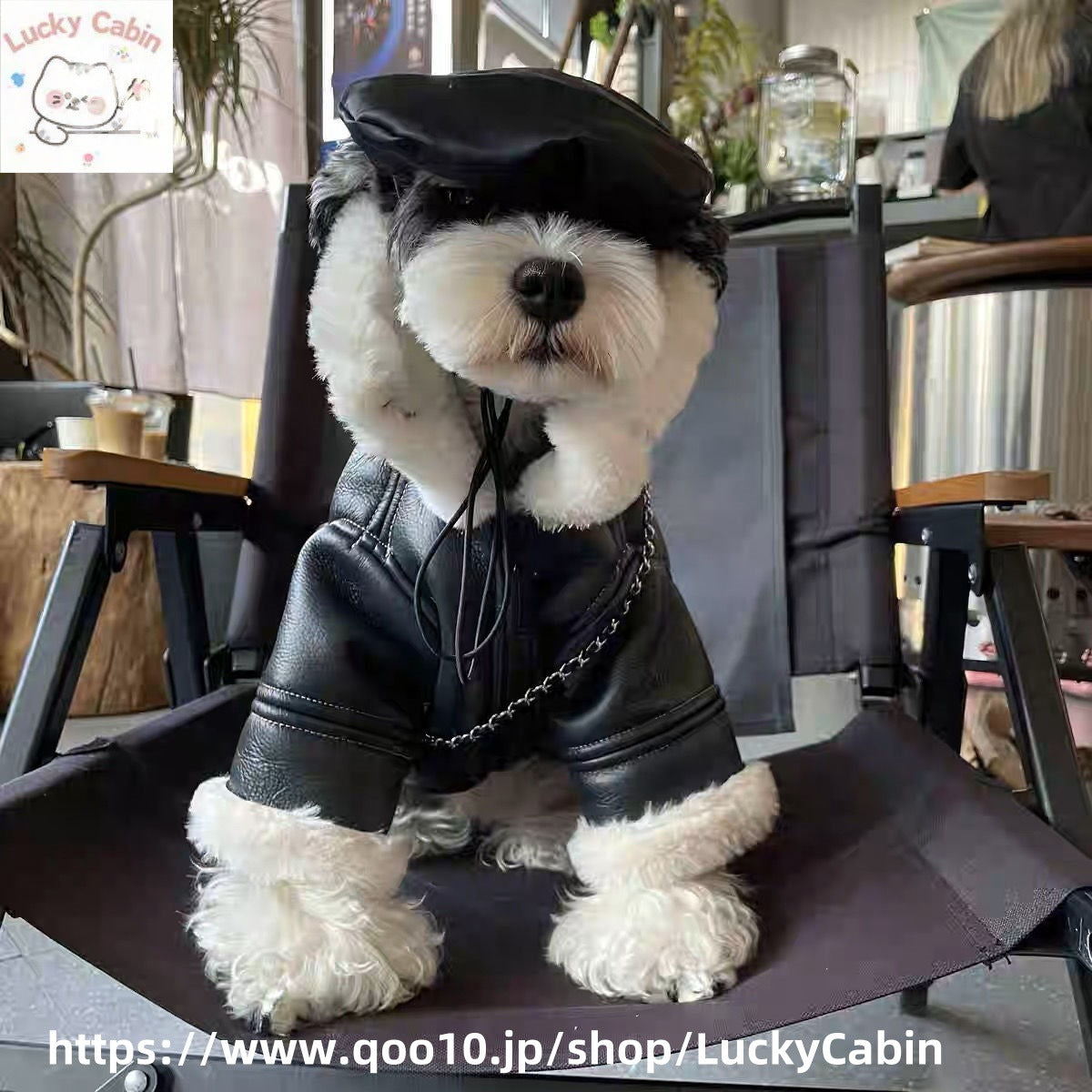 秋冬の犬服 テディボーミペットのコキシナレビーベア秋 暖かい可愛らしい 暖かい野球服 冬アウター中小型犬猫の綿の服です