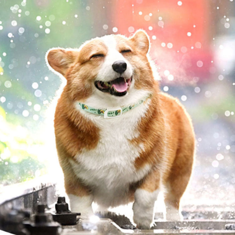 ペット用 首輪 ノミ取り ダニ取り猫用 小型犬 中型犬 大型犬 S M L ノミとり 蚊よけ首輪 防虫 虫除け用品 猫用品 ネコちゃん ワンちゃん 衛生用品 のみとり マダニとり 犬用品 ペット用品
