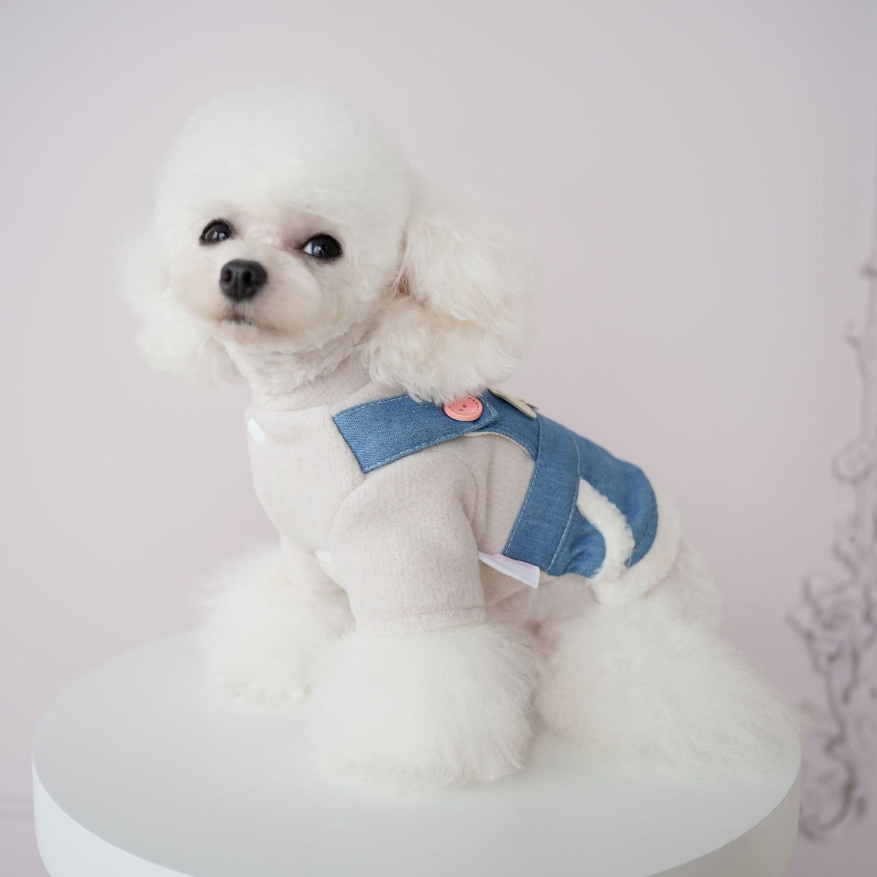 犬服ペット新作秋冬ウェア擦れデニムスーツ犬ビション背中4本足服ズボン2本足服