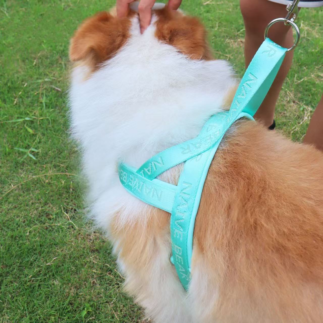 犬牽引ロープベストサドルペット防爆ペット犬ストラップ中小型熊テディコーキ外出通用 メガ割ワンピースパンツトートバッグ