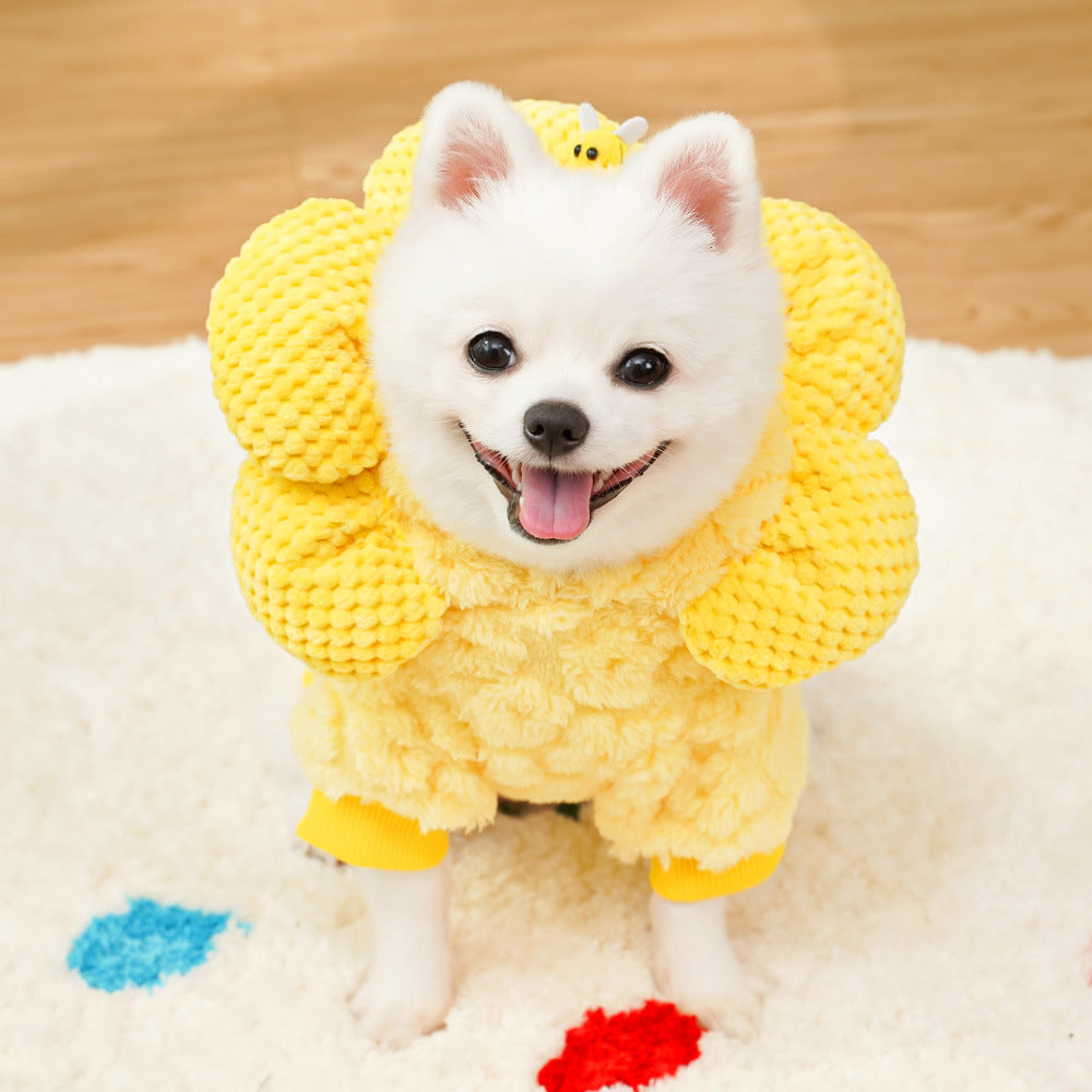 人気犬の服ペット秋冬服用品新作ひまわり帽子中綿入り