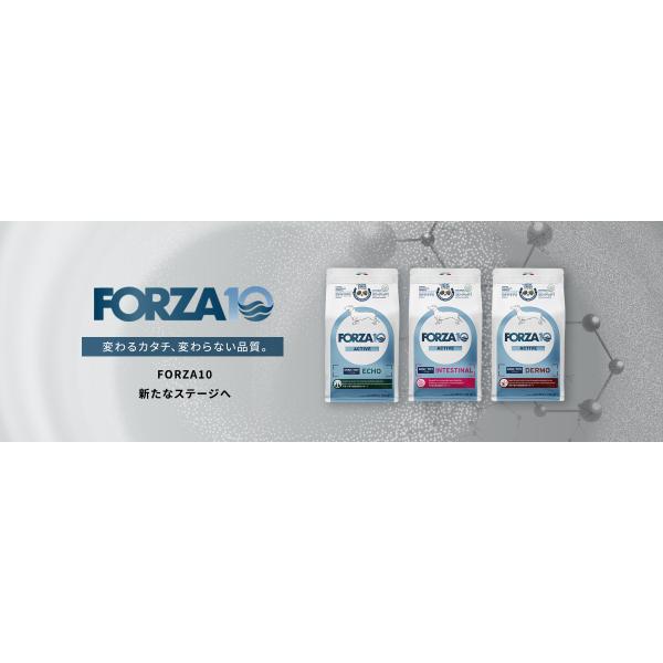 Forza10 アクティウェット デルモサポート 皮膚被毛ケア サーモン&地中海の白身魚 パテ 100gx6個 ドッグフード 犬 餌 フォルツァ10