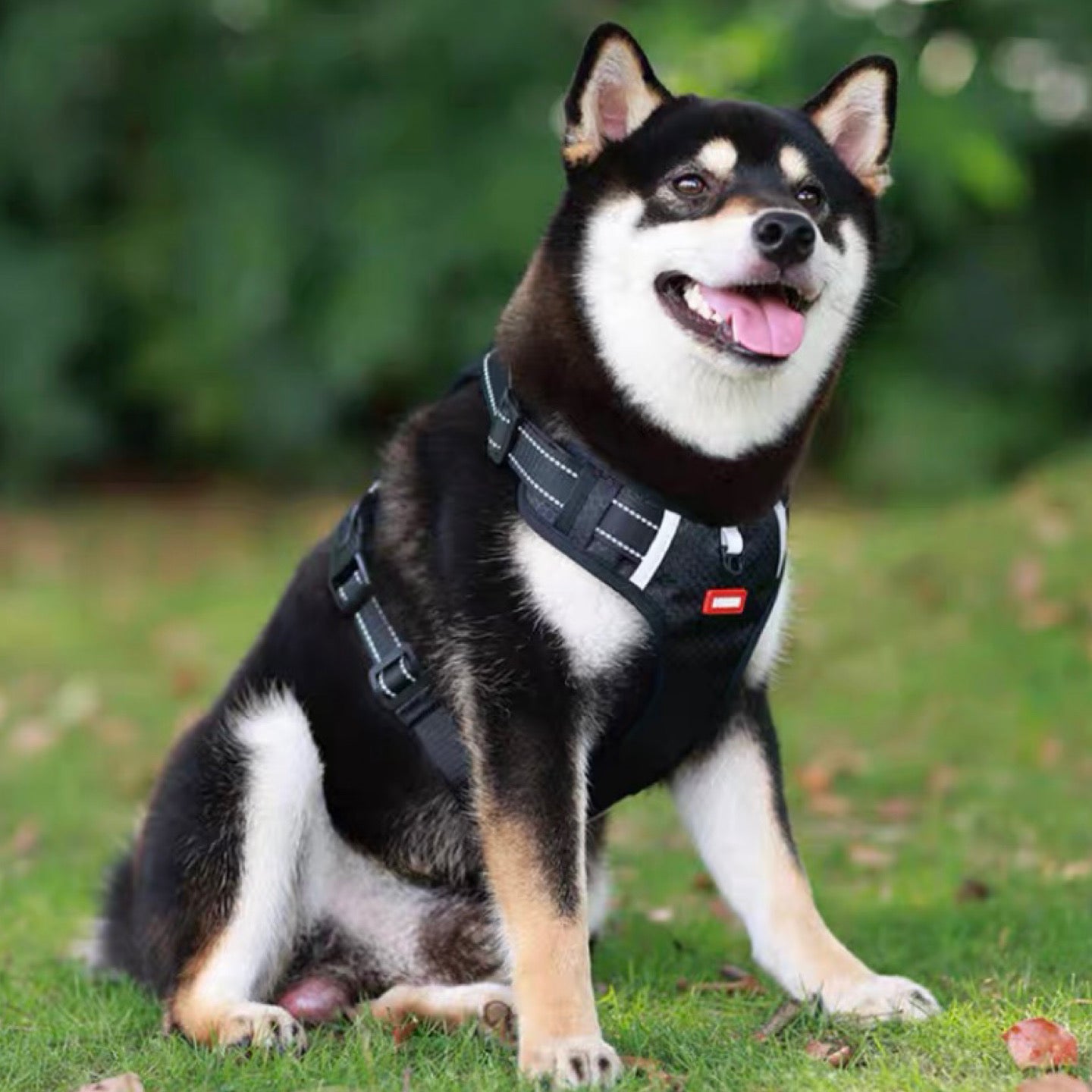 ステップハーネス ロック 大型犬 抜けない M 介護用 柴犬 小型犬 抜けにくい 犬 XS ハーネス ハンドル付き 中型犬 ウェアハーネス S L 負担の少ない