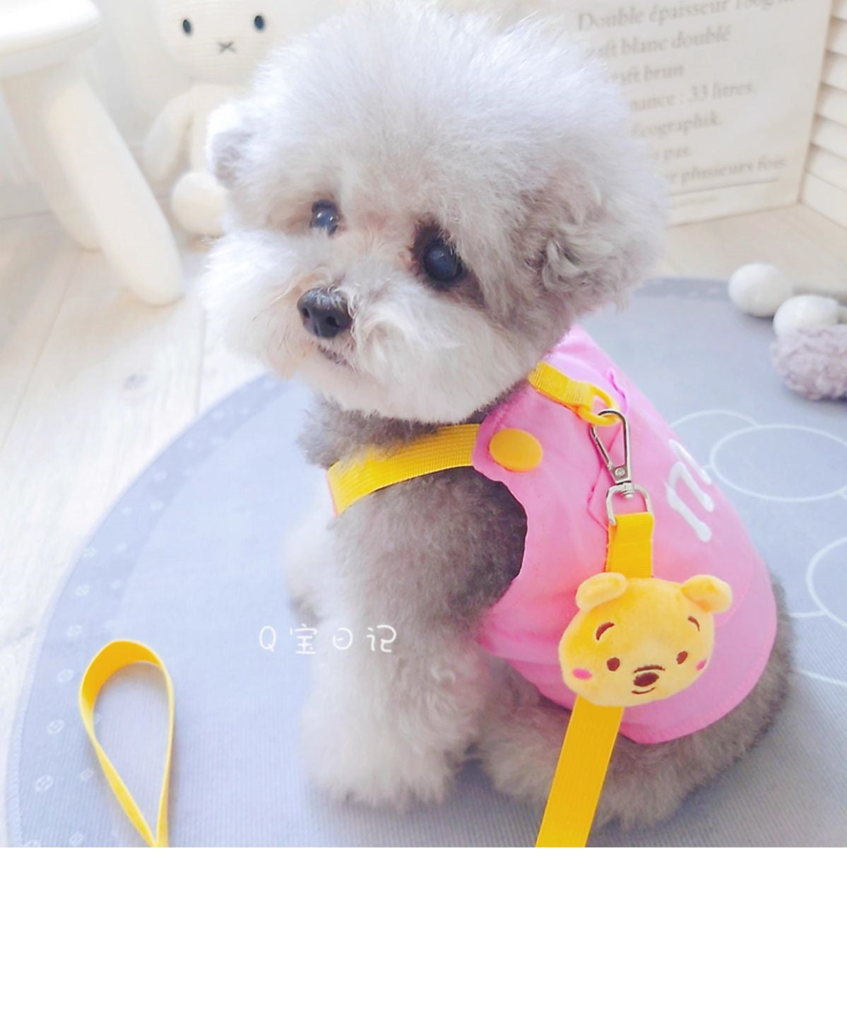 ペットの猫の小型犬のテディの犬の胸のストラップの牽引ロープのベスト式のドッグランの犬のひものかっこいいかわいい衝突色 メガ割ワンピースパンツトートバッグ