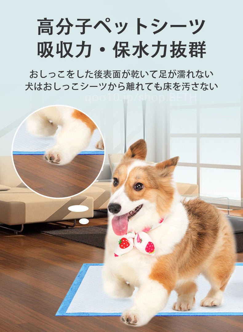 ペットシーツ 厚型 超吸収 抗菌 消臭 トイレシート 犬用品 使い捨て スーパーワイド 吸水シート 防水シーツ トイレシーツ ペット用 ペットシート 犬 猫