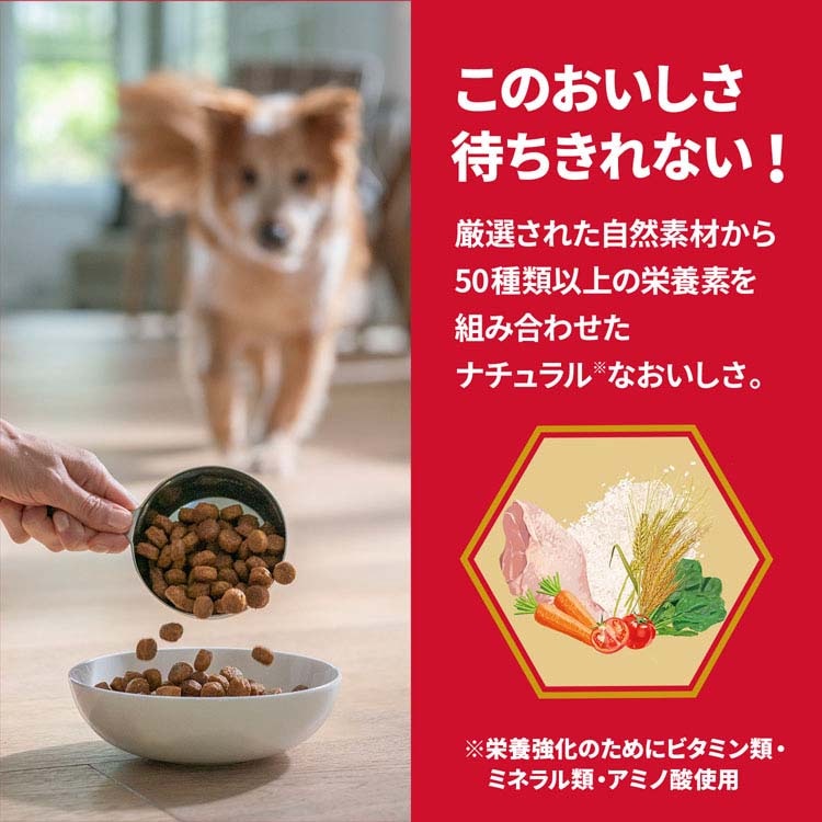 (2個セット)ドッグフード シニア 中型犬 サイエンスダイエットプロ犬用 シニアトータルケア機能 中粒 7歳以上 3kg ヒルズ メガ割