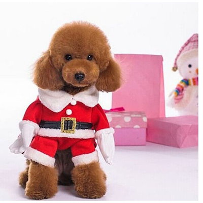 11月新作秋冬ペット服犬猫犬服快適で可愛い/ クリスマス犬用品 保温防寒犬洋服
