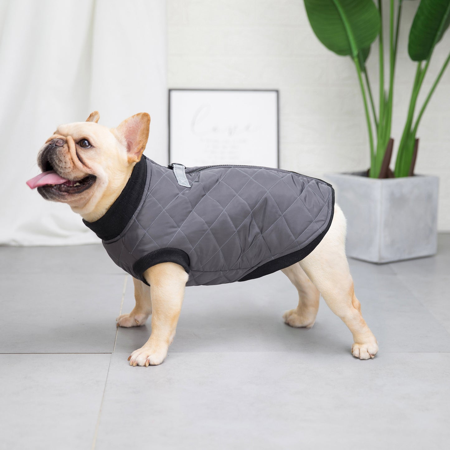 猫 犬 洋服 犬服 ペット服 大中小型犬 ペット用品 犬/猫用 犬の服 ペットウエア 小型犬 中型犬 通気 可愛い ドッグウェア トレーナー 犬 服 ワンピース サロペット ビションフリーゼ 犬猫服