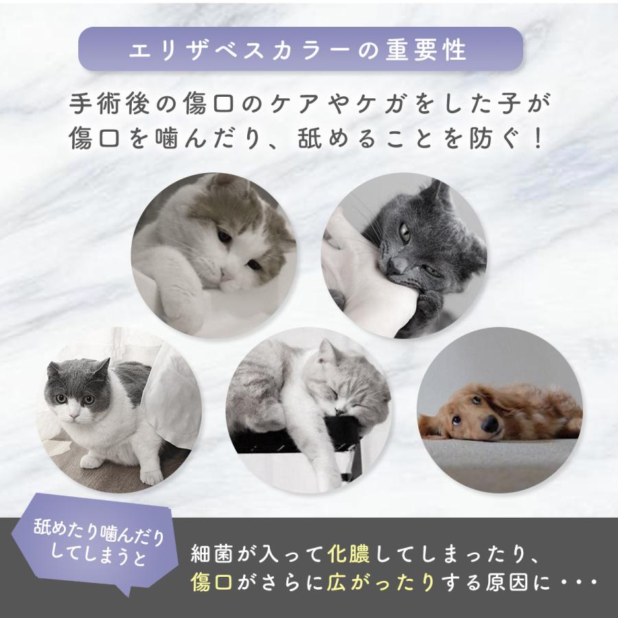 術後服 嫌がる 犬用カラー ペット用ソフトエリザベスカラー 猫 おしゃれ ソフト 犬 エリザベスカラー カラフル
