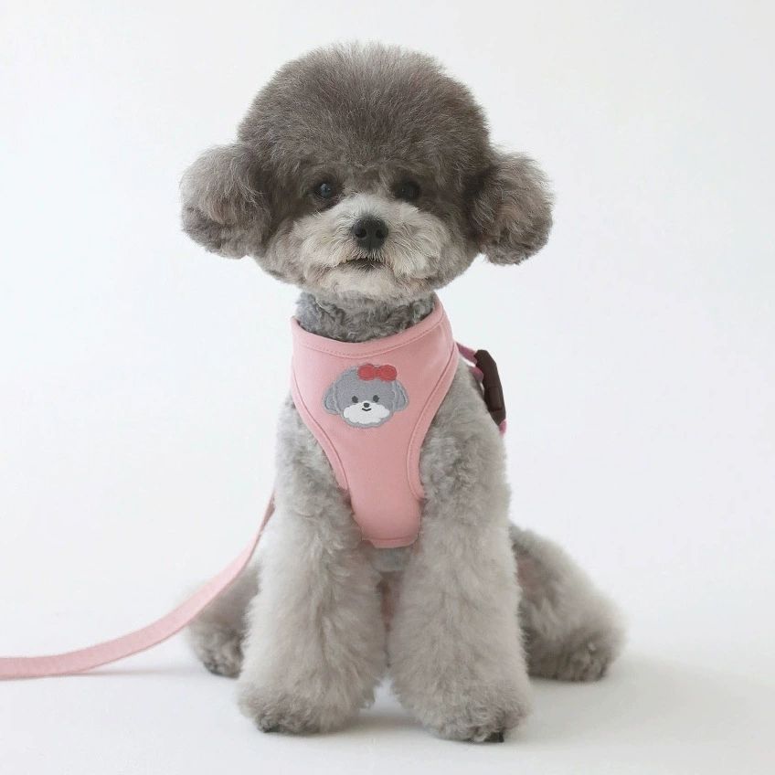 韓国版の中で小型の犬のテディは熊のコーキに比べて外出して犬を散歩します メガ割ワンピースパンツトートバッグ